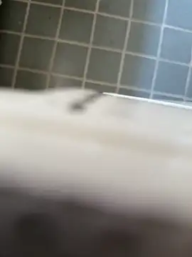 Wet-Pussycat online show from June 2, 2026, 12:49 pm