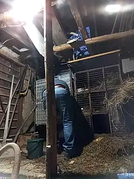 sarpe4 online show from February 19, 2026, 4:15 pm