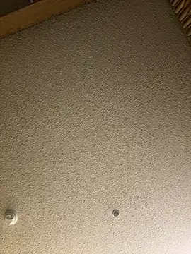 Snapshot of blue5455 chatting on February 28, 2025, 6:21 am blue5455 online show from February 28, 2025, 6:21 am