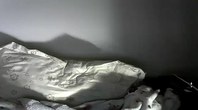 Snapshot of SexxyLety chatting on January 22, 2025, 9:21 pm SexxyLety online show from January 22, 2025, 9:21 pm