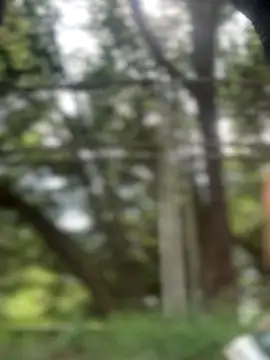 emma tour online show from November 29, 2025, 3:12 pm