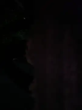 cumgitsumdic online show from April 24, 2026, 8:27 am