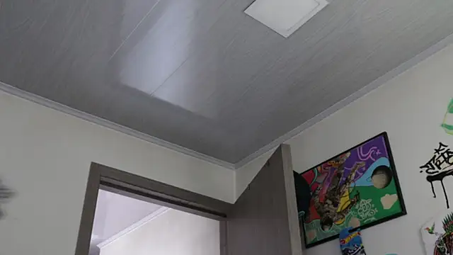 Snapshot of trieone chatting on February 20, 2026, 3:03 pm trieone online show from February 20, 2026, 3:03 pm