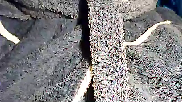 Snapshot of kalinixta chatting on October 2, 2025, 7:28 pm kalinixta online show from October 2, 2025, 7:28 pm