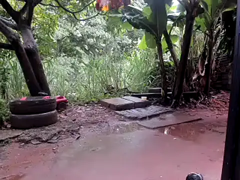 Snapshot of venusandzeus@xh chatting on October 14, 2025, 1:01 pm venusandzeusxh online show from October 14, 2025, 1:01 pm