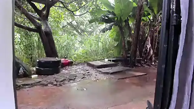 Snapshot of venusandzeus@xh chatting on December 2, 2025, 1:13 pm venusandzeusxh online show from December 2, 2025, 1:13 pm