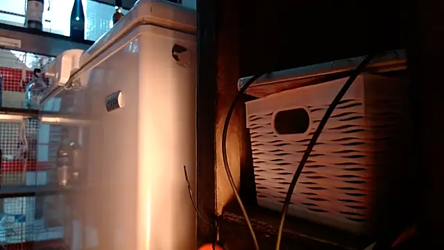 DAELAA online show from November 10, 2025, 11:10 pm