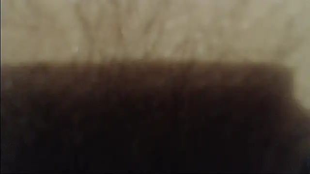 Olivia118 online show from October 11, 2025, 6:31 pm