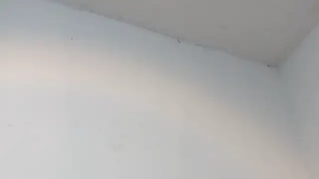 dalilasquirt1 online show from February 11, 2026, 7:47 pm