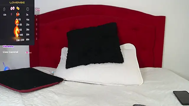 Snapshot of Rouss_Meyers chatting on March 4, 2025, 11:00 pm Rouss Meyers online show from March 4, 2025, 11:00 pm