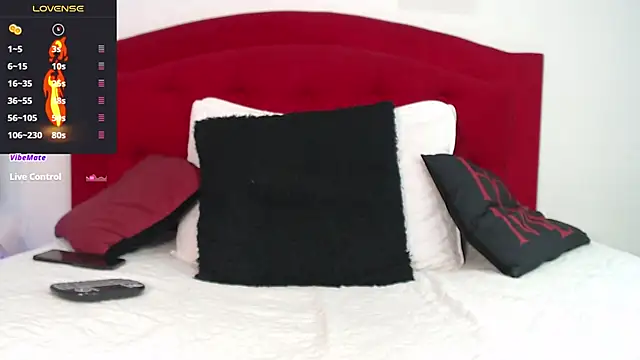 Snapshot of Rouss_Meyers chatting on March 19, 2025, 8:22 pm Rouss Meyers online show from March 19, 2025, 8:22 pm