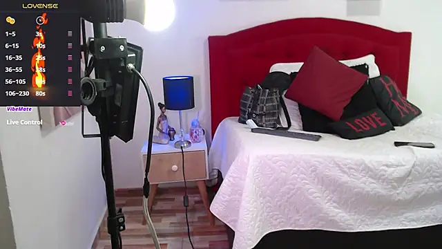 Snapshot of Rouss_Meyers chatting on February 21, 2025, 7:54 pm Rouss Meyers online show from February 21, 2025, 7:54 pm