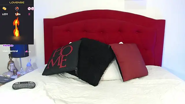 Snapshot of Rouss_Meyers chatting on February 26, 2025, 10:58 pm Rouss Meyers online show from February 26, 2025, 10:58 pm