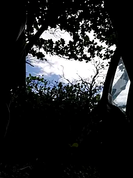 Luna-Natural online show from December 21, 2025, 6:31 pm