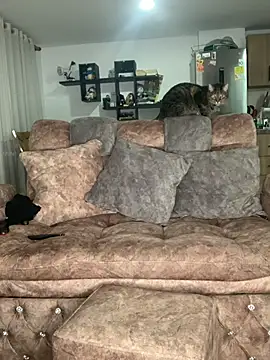 samanthaa  online show from September 24, 2025, 1:24 am