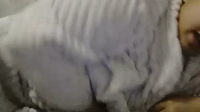 beautylovess online show from April 4, 2026, 6:53 am