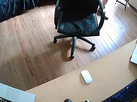 seoulsatxh online show from November 17, 2025, 6:23 pm