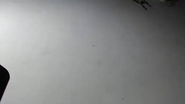 Snapshot of adrixxx38 chatting on January 18, 2026, 4:43 pm adrixxx38 online show from January 18, 2026, 4:43 pm