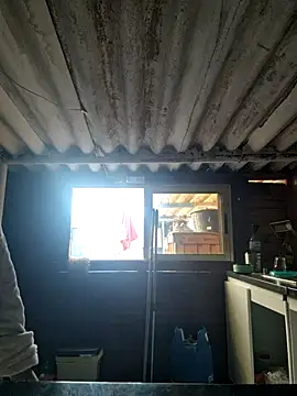 mila38 online show from November 18, 2025, 9:56 am