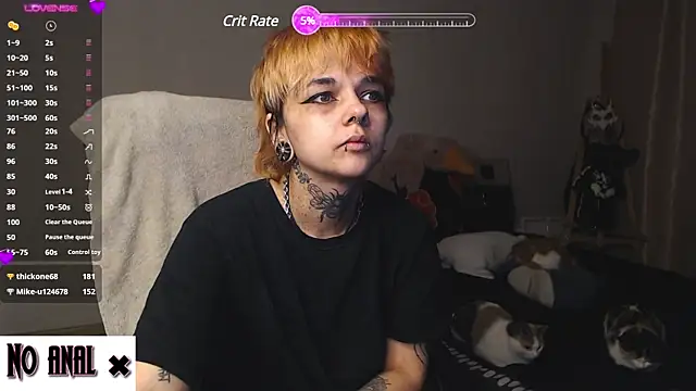 Dark  Elf online show from January 8, 2025, 10:06 pm