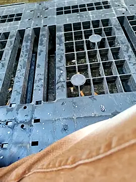 Ethangay online show from March 26, 2026, 7:28 am