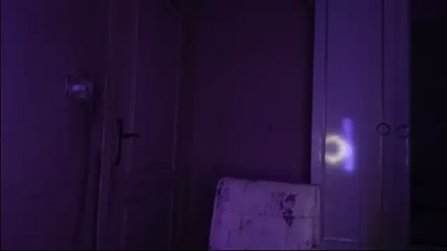 Bullish online show from January 22, 2025, 11:45 am