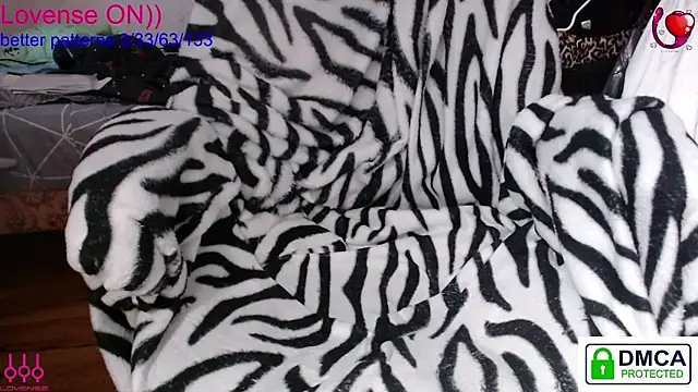 sweet cute cat online show from February 8, 2026, 11:08 am