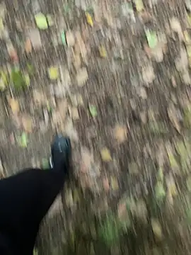 Snapshot of bestofsex99 chatting on October 5, 2025, 3:47 pm bestofsex99 online show from October 5, 2025, 3:47 pm