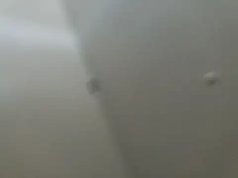 tropikboy online show from February 22, 2025, 1:46 pm