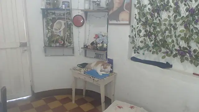 FunnyGrandma online show from February 11, 2026, 9:58 pm