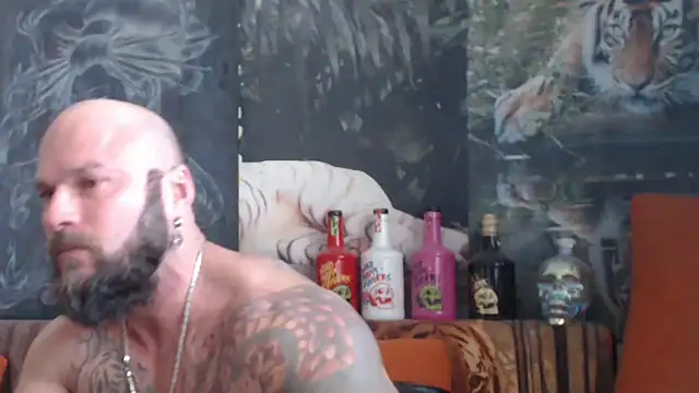 Snapshot of viking_30 chatting on October 1, 2025, 7:46 am viking 30 online show from October 1, 2025, 7:46 am