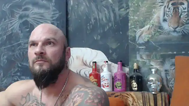 viking 30 online show from November 22, 2025, 6:51 pm