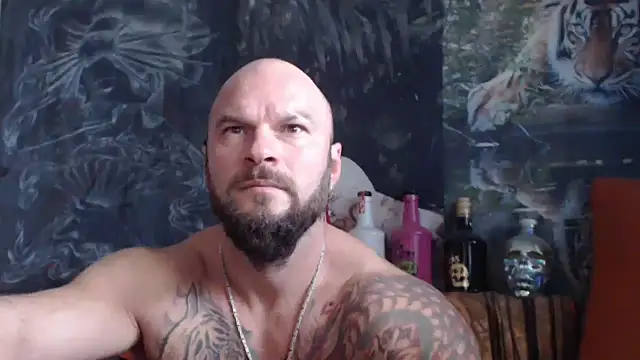 Snapshot of viking_30 chatting on October 8, 2025, 10:17 am viking 30 online show from October 8, 2025, 10:17 am