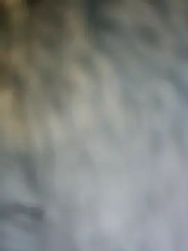 PhoenixDesirexh online show from April 4, 2026, 3:40 pm