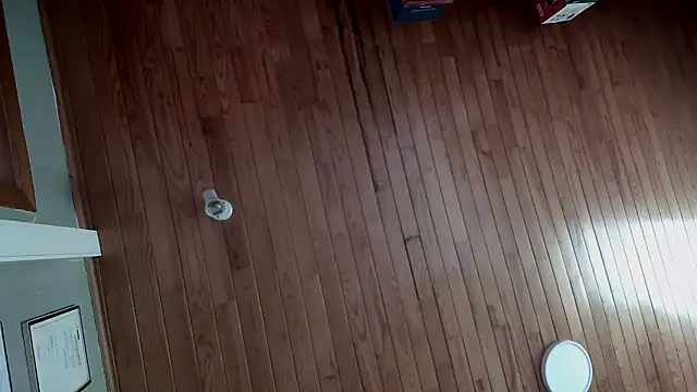 riverside197575 online show from October 23, 2025, 9:08 am