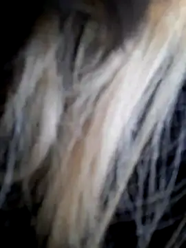 Dirtyfeelin online show from December 14, 2025, 12:00 pm