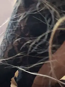 Littlebunny21 online show from December 15, 2024, 10:26 pm