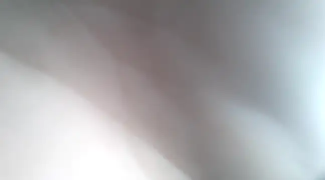 Dalton2288 online show from January 21, 2025, 7:50 pm