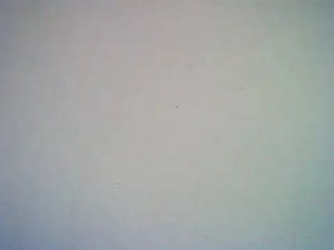 SweetAsianAss online show from September 20, 2025, 3:00 am