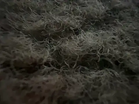 Snapshot of Exclusivenutxxx chatting on February 22, 2025, 5:12 am Exclusivenutxxx online show from February 22, 2025, 5:12 am