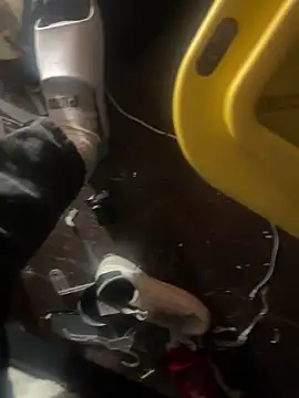 Snapshot of Exclusivenutxxx chatting on January 23, 2025, 6:56 pm Exclusivenutxxx online show from January 23, 2025, 6:56 pm