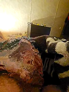 Snapshot of Advocate_420 chatting on December 3, 2025, 6:47 am Advocate 420 online show from December 3, 2025, 6:47 am