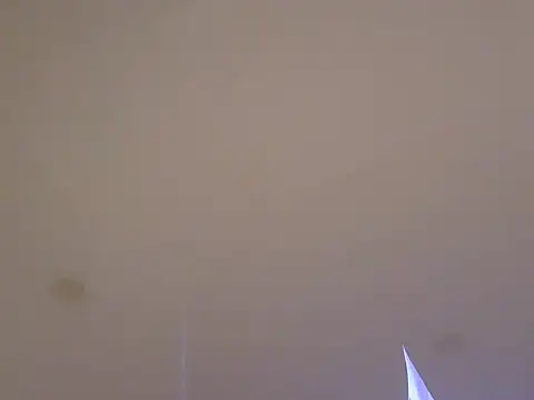 LionEdwin online show from April 7, 2026, 10:39 am