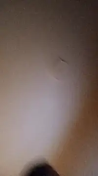 BunnyandClydeDk online show from March 4, 2025, 3:44 am