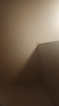 BunnyandClydeDk online show from January 14, 2025, 12:33 am