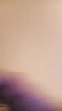 BunnyandClydeDk online show from January 31, 2025, 6:47 pm