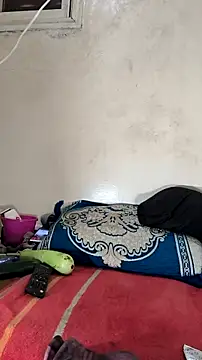 Snapshot of tslovetoys5 chatting on October 9, 2025, 3:12 pm tslovetoys5 online show from October 9, 2025, 3:12 pm