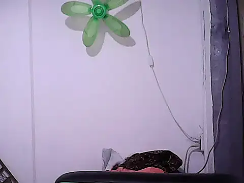 BigDickTrans online show from February 5, 2026, 7:04 am