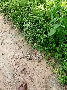 rameshmry1 online show from October 19, 2025, 7:55 am