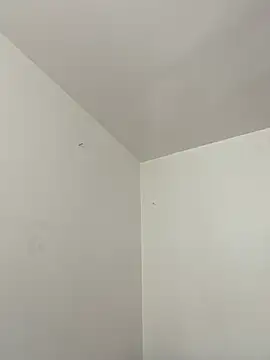 mochamimi online show from March 20, 2026, 2:07 pm